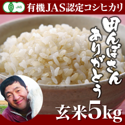 【令和5年度産】新潟産 コシヒカリ 田んぼさんありがとう 玄米 5kg