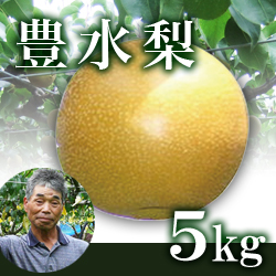 豊水梨 5kg箱(生産者・片山)