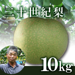 二十世紀梨 10kg箱(生産者・片山)