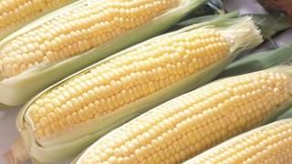 朝採りをお届けいたします！