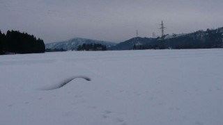 今年の豪雪地帯は