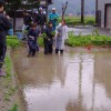 田植え体験祭りに参加