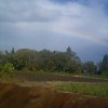 農作業中に虹を発見！