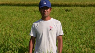 生産地からの直送