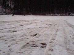 雪下にんじん除雪