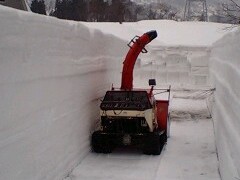 積もってました・・・。