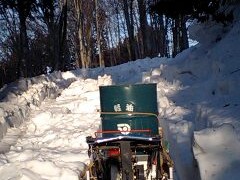 雪下にんじん除雪準備
