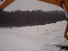 雪下にんじんの除雪始めました。