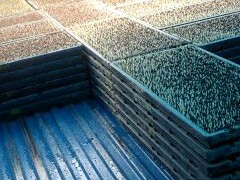 春の稲作準備　1