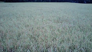 久しぶりの・・・