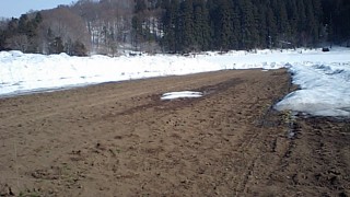 自社農場、雪下人参の収穫終了
