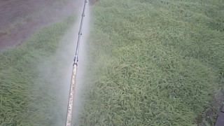 田植え前の準備