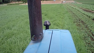 雪下人参の準備