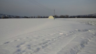 アスパラ畑の状況