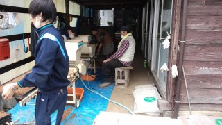 コシヒカリ種まき＆苗だし