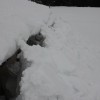 農作業小屋の雪下ろし