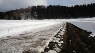 雪下人参の畑、除雪