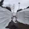 作業所までの農道除雪