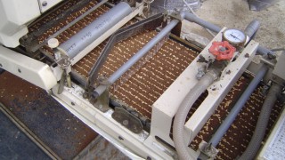 発芽後の種まき準備