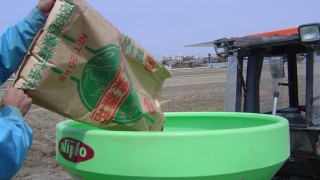 有機肥料を使用して