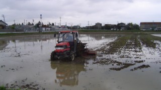 いよいよ水入れ