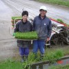 田植えを始めます