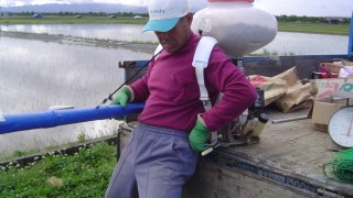 米ぬか・屑大豆撒き