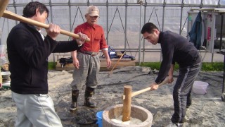 臼と杵でつくお餅