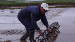 手植えの下準備