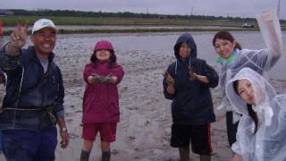 秋の収穫が楽しみ