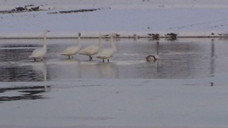 しさしぶりの良い天気