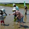 田植え体験会