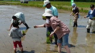 田植え体験会