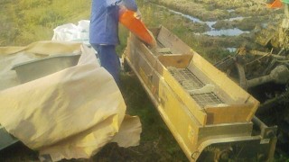 微生物の餌の米糠撒きをしました。