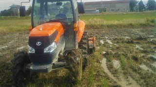 11月に入っても雨ばかり？