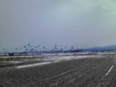 配達途中の風景