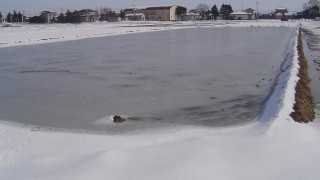 2日続けて良い天気です。