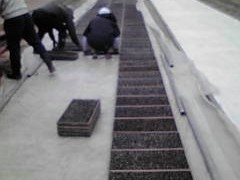 苗の箱を並べます