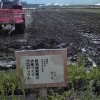 田んぼの耕起