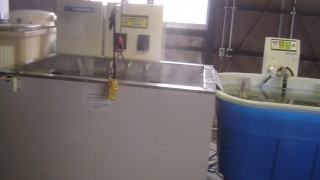 種もみの温湯消毒