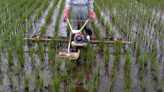 除草機で草取りです。