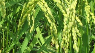 これからが一番大切な時期です！