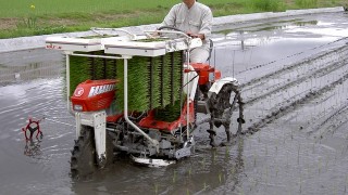 田植え終わりました。
