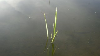 一週間目です。