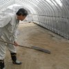 ビニールハウス作り