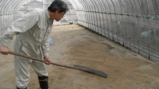 ビニールハウス作り