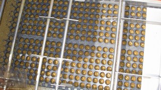 ポットの中身は