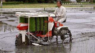 春の大イベント