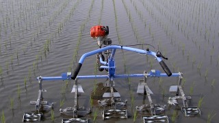 あめんぼ号登場！