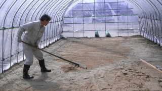 ビニールハウス